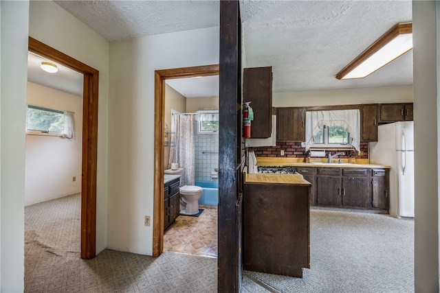 kitchen with butcher block countertops, dark brown cabinetry, plenty of natural light, and light carpet