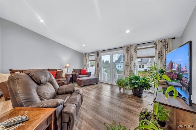 living room featuring wood-type flooring