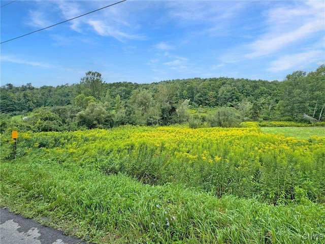 LOT1 Brewer Rd, Columbia NY, 13357 land for sale