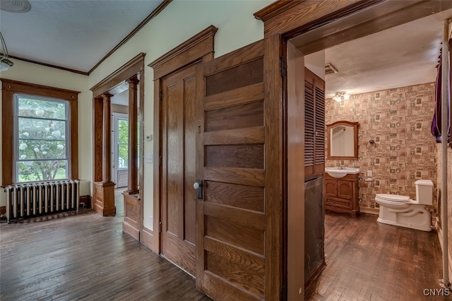 hallway featuring sink, dark hardwood / wood-style floors, and radiator