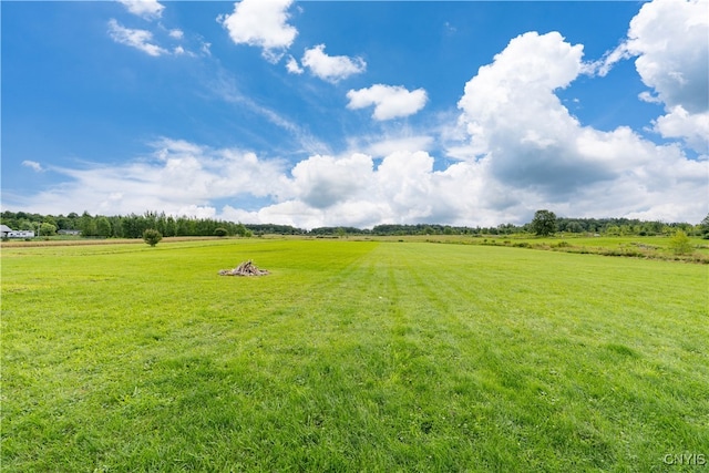 view of yard featuring a rural view