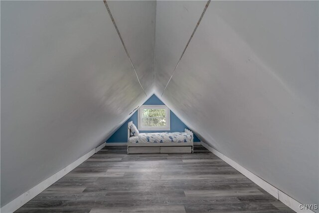 additional living space with vaulted ceiling and hardwood / wood-style flooring