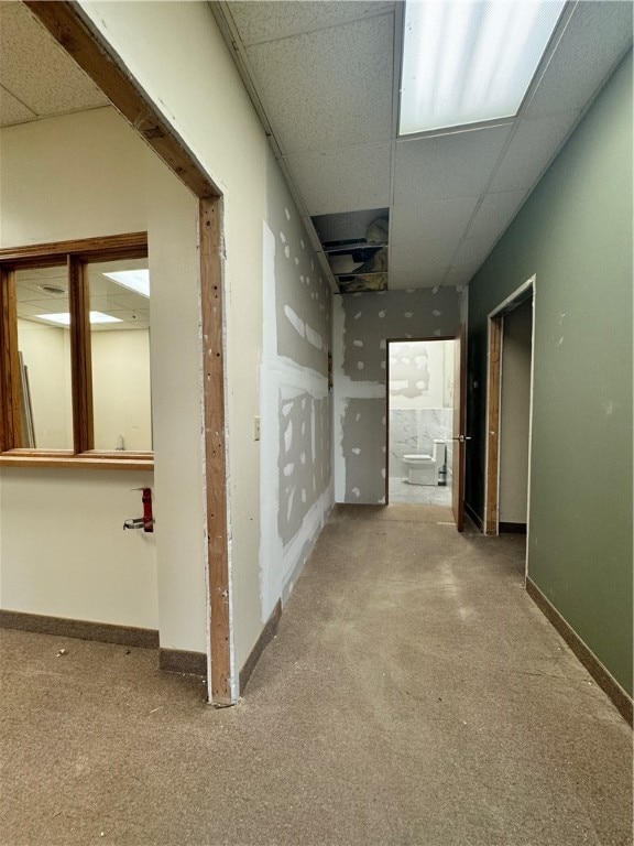 corridor featuring a drop ceiling and carpet