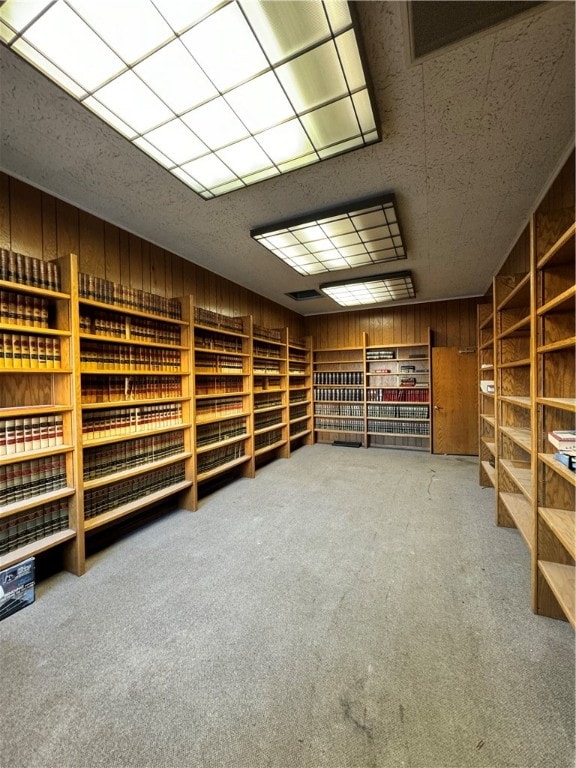 interior space with carpet flooring and wooden walls