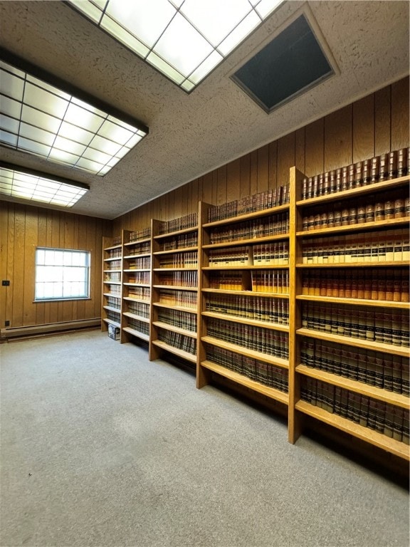 wine cellar featuring wood walls, carpet, and baseboard heating