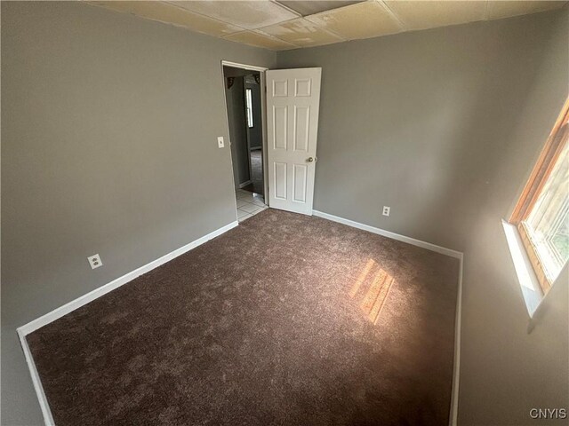 spare room featuring light colored carpet