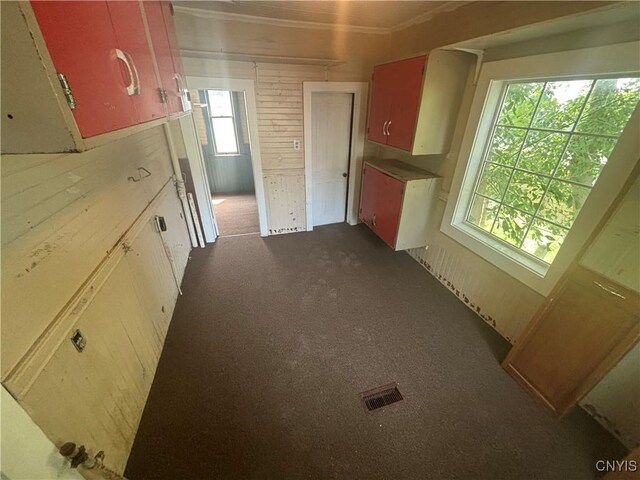 kitchen featuring dark carpet