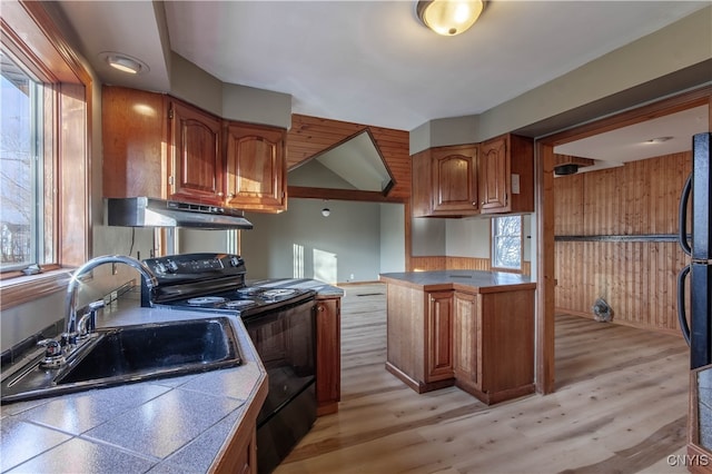 kitchen featuring light hardwood / wood-style floors, ventilation hood, sink, black appliances, and a wealth of natural light