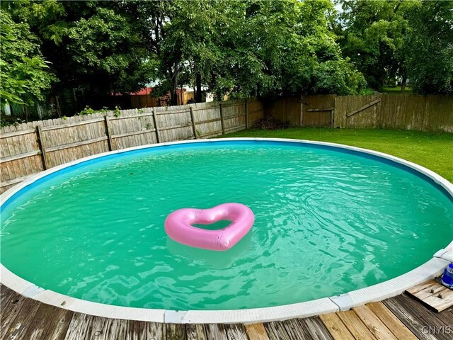 view of swimming pool with a lawn