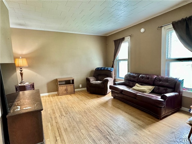 living room featuring crown molding and light hardwood / wood-style flooring