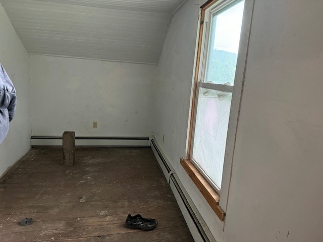 additional living space featuring vaulted ceiling and plenty of natural light