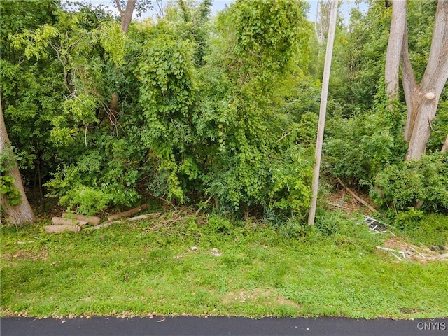 000 Mcalpine St, Salina, NY 13211