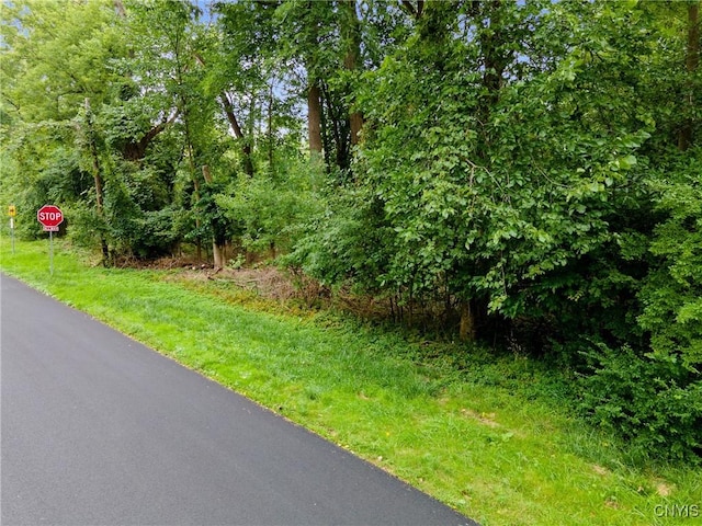 000 Mcalpine St, Salina, NY 13211
