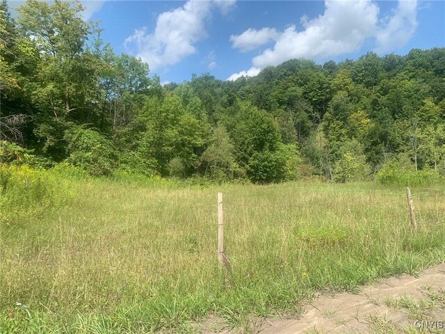 0 Newport Rd, Schuyler NY, 13502 land for sale