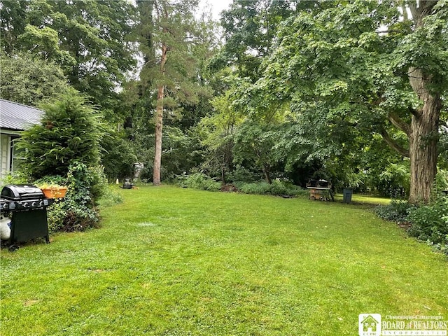 14 E Maple St N, Ellery, NY 14712 - view of yard