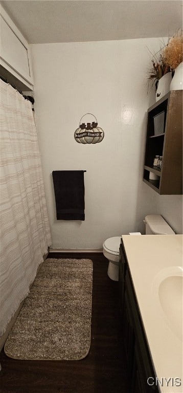 bathroom featuring toilet, vanity, and wood-type flooring