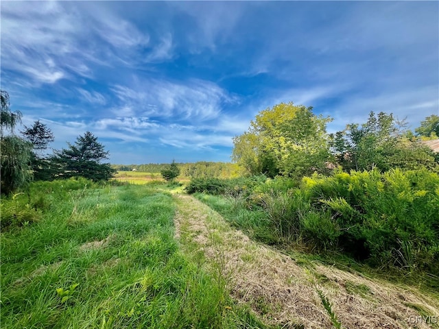 view of nature with a rural view