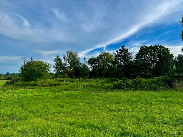 view of landscape