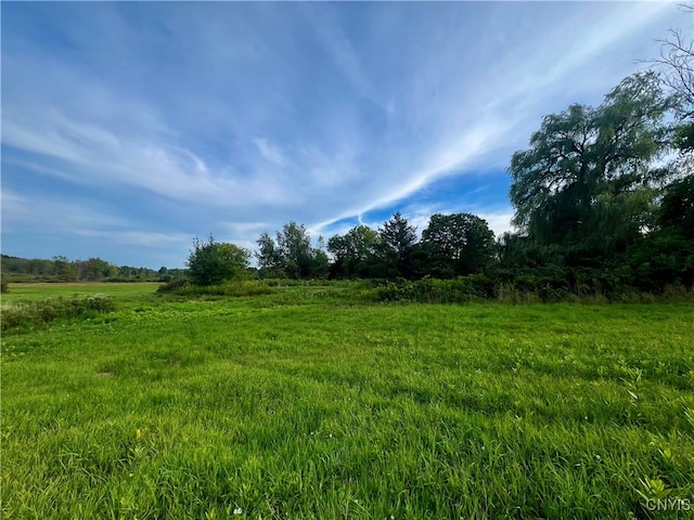 view of landscape