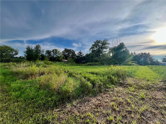 view of local wilderness featuring a rural view