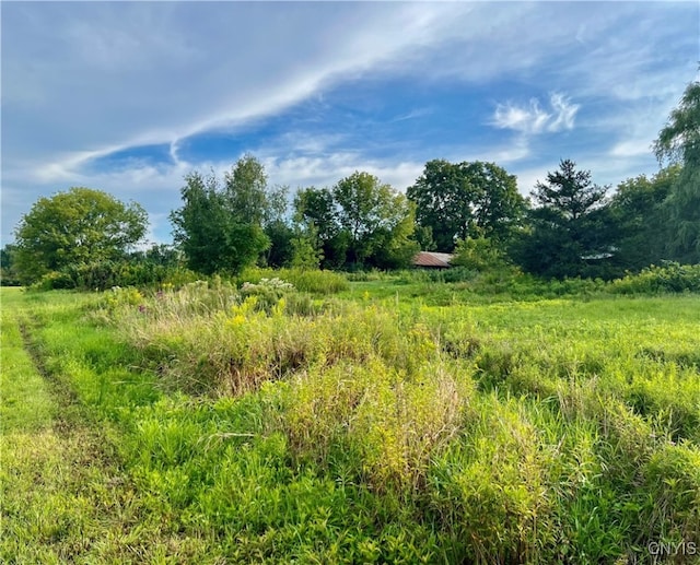 view of landscape