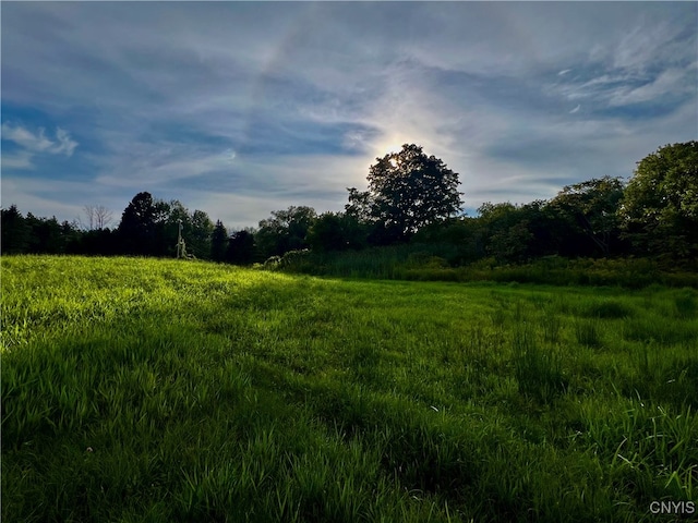 view of nature