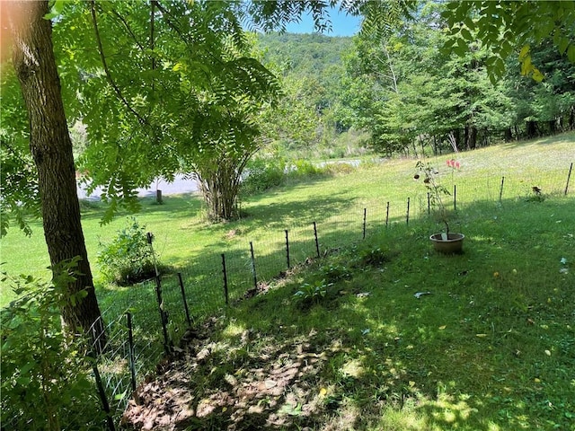 view of yard with fence and a rural view