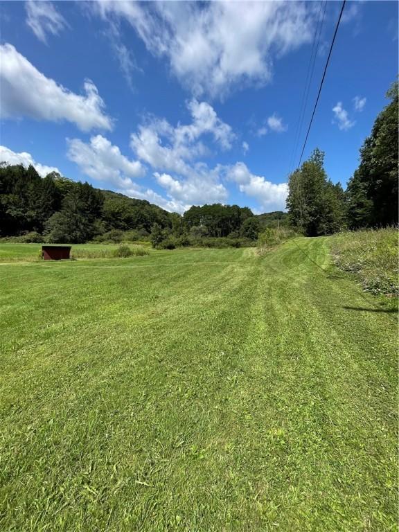 view of yard featuring a rural view