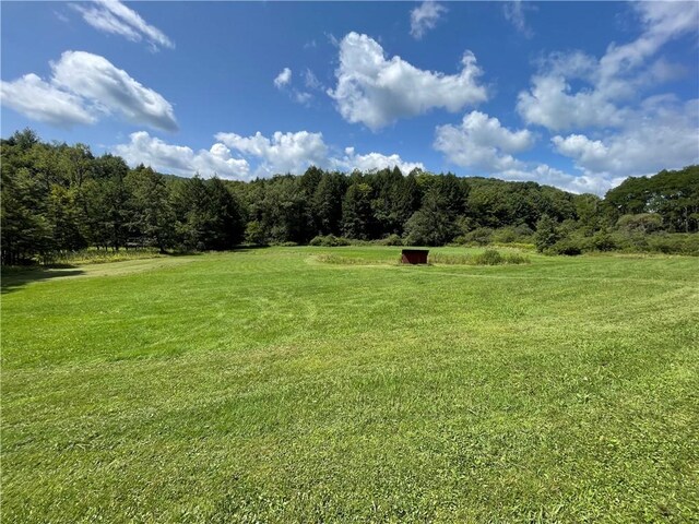 view of yard with a wooded view