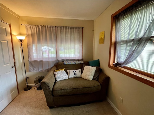 sitting room with carpet and a wealth of natural light