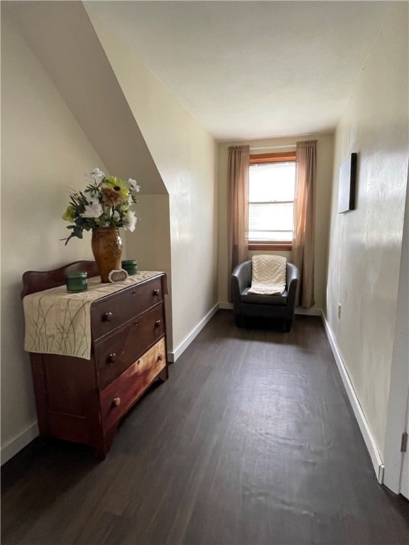 sitting room featuring dark wood-type flooring