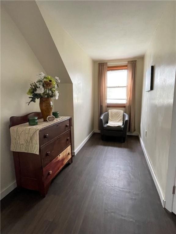 sitting room featuring dark wood-type flooring