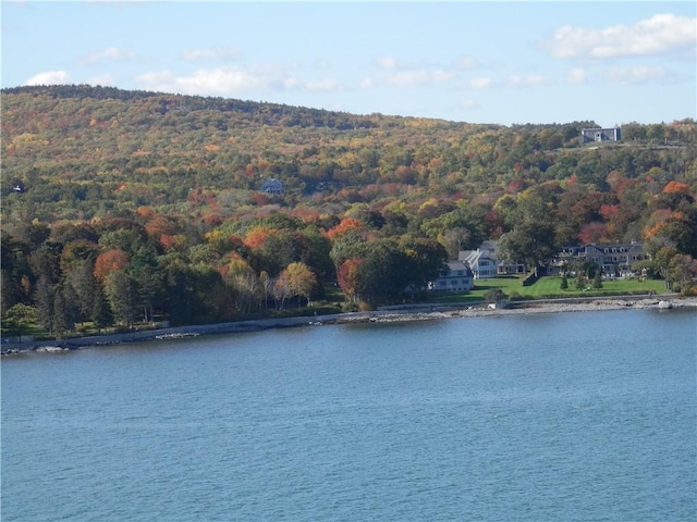 water view featuring a forest view