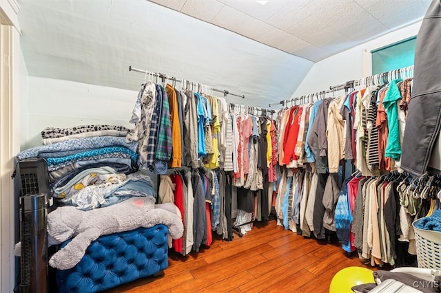 walk in closet with wood-type flooring