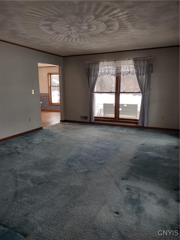 spare room with carpet