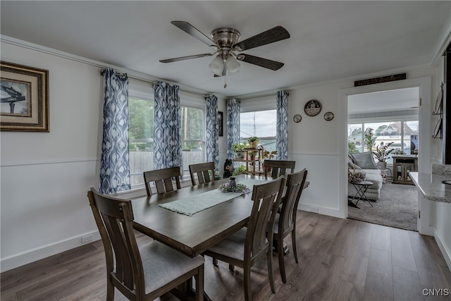 dining space with ceiling fan, dark wood-type flooring, and ornamental molding