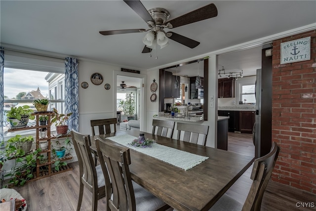 dining space with ceiling fan, plenty of natural light, and light hardwood / wood-style flooring