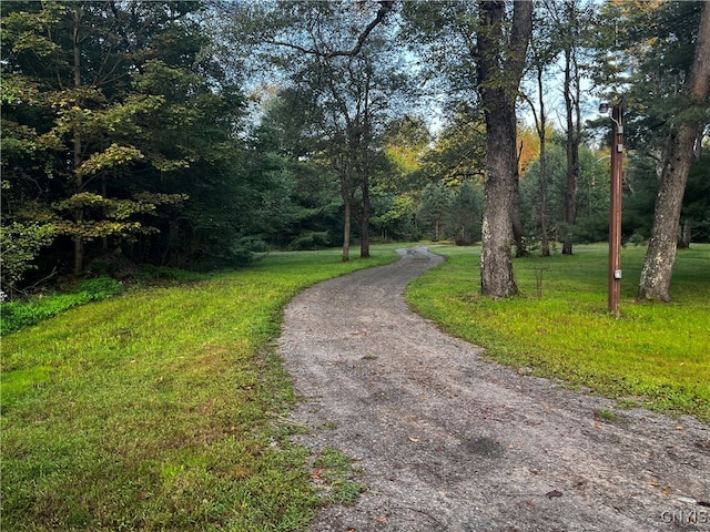 view of road