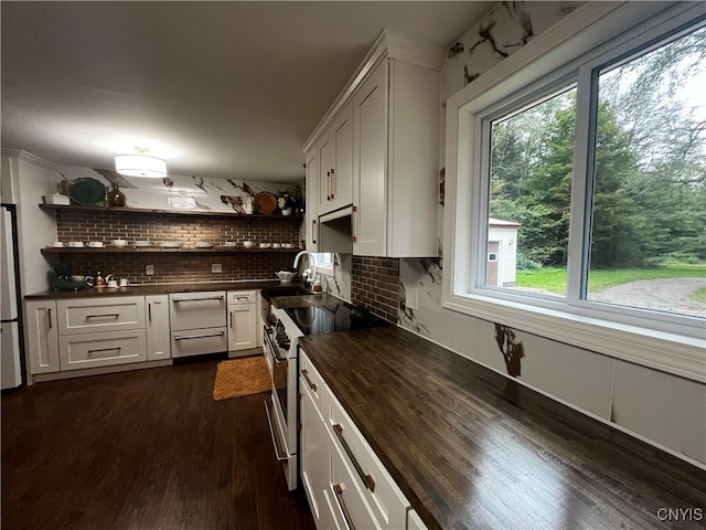 kitchen featuring appliances with stainless steel finishes, plenty of natural light, wooden counters, and dark hardwood / wood-style floors