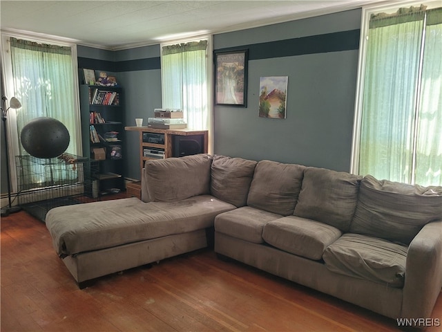 living room with hardwood / wood-style floors