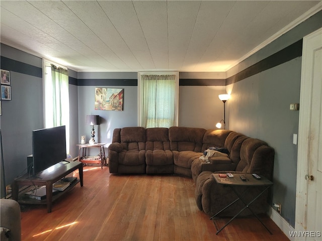 living room featuring ornamental molding and wood-type flooring