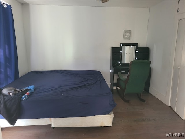 bedroom featuring wood-type flooring