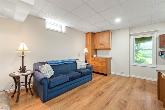 15043 State Route 54th Rd, Wayne, NY 14837 - living room with a paneled ceiling, light wood-style flooring, and baseboards