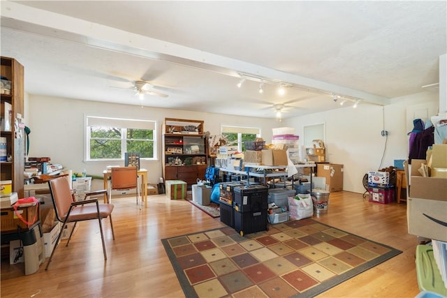 15043 State Route 54th Rd, Wayne, NY 14837 - living area featuring ceiling fan, rail lighting, and plenty of natural light