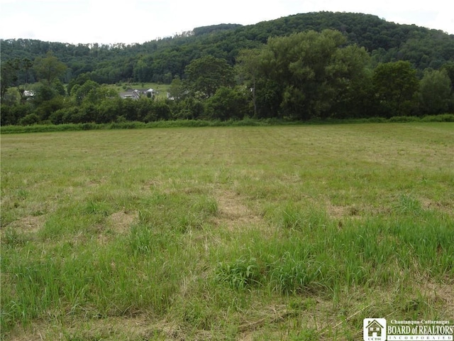 LOT2 Five Mile Rd, Allegany NY, 14706 land for sale