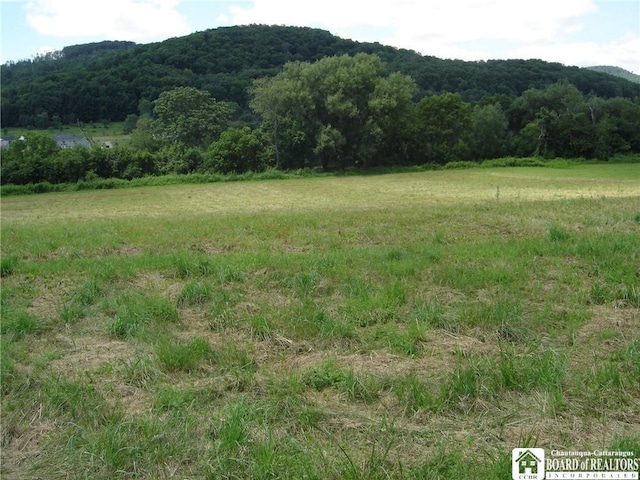 Listing photo 2 for LOT2 Five Mile Rd, Allegany NY 14706