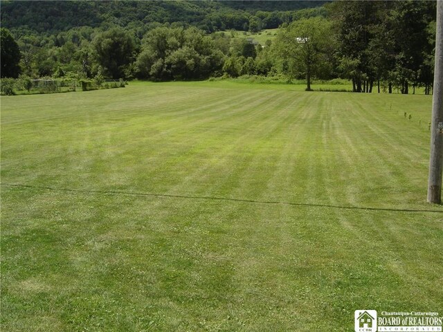 LOT1 Five Mile Rd, Allegany NY, 14706 land for sale