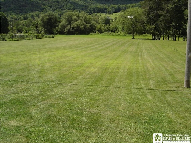 LOT1 Five Mile Rd, Allegany, NY 14706 - photo 1