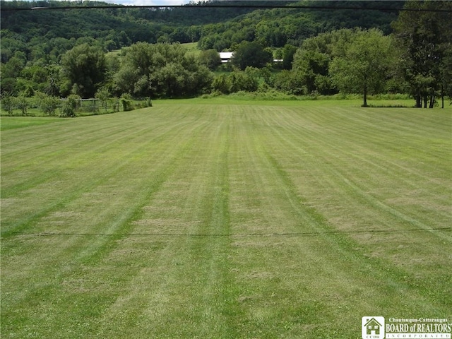 Listing photo 2 for LOT1 Five Mile Rd, Allegany NY 14706