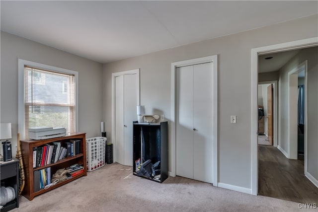 miscellaneous room featuring light colored carpet